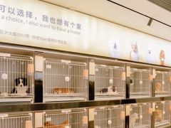 -翊宠yipet猫狗购宠庄园犬舍•猫舍