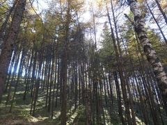 -驼梁风景区