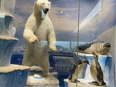 -国家自然博物馆