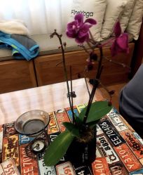 点击看大图 -FineYoga梵音瑜伽·普拉提