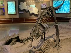 -自贡恐龙博物馆