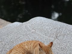 -广州兰圃