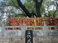 -大槐树寻根祭祖园