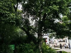 -西溪南古村落景区
