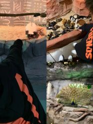 -Zoolung Zoolung动物主题公园(海信广场店)