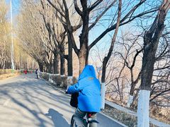 -长白岛森林公园