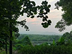 -上海市保健医疗中心