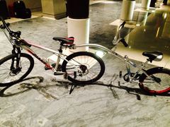 双人自行车-上海崇明金茂凯悦酒店