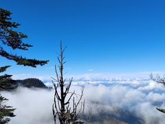 -瓦屋山景区