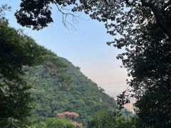-太和古洞