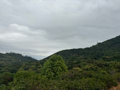 -清溪大王山森林公园