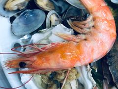-必点蒸汽海鲜(止锚湾店)