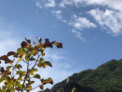 -云岫谷自然风景区