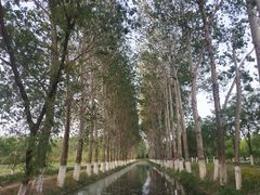 -东郊湿地公园