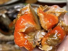-百年银屏蚝烙·潮汕菜·非遗(乐山店)