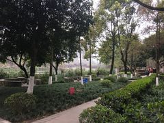-重庆彩云湖湿地公园
