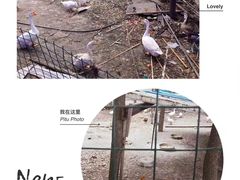 -东康桂家农庄