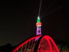 -金鸡山公园