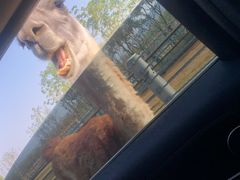 -南京金牛湖风景区