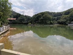 -广州市帽峰山景区