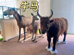 -呼和浩特博物馆