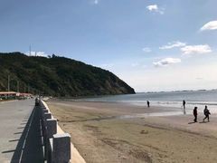 -大鹿岛