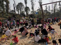 -枫香湖儿童公园