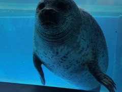 -青岛海底世界-水族馆
