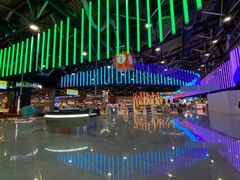 -谢列梅捷沃国际机场