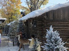 -HERRE·FARM 赫尔露营农场·团建聚会包场