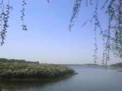 -丁香湖公园