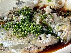 -阿巧茶庄