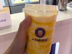-一只酸奶牛(八一路店)