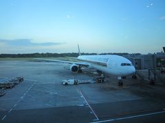 -新加坡航空公司(ION)