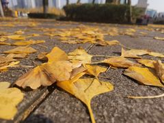 -两江幸福广场