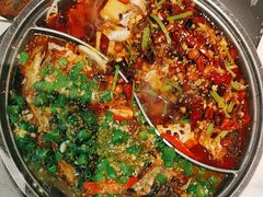 -锦尚阁烤鱼(望京新荟城店)