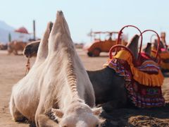 -火焰山景区(火焰山镇)