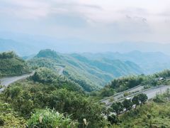 -四明山国家森林公园
