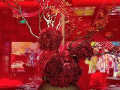 -星·South Beauty·俏江南(国贸店)