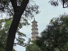 -广州莲花山旅游区