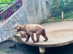 -贵州森林野生动物园