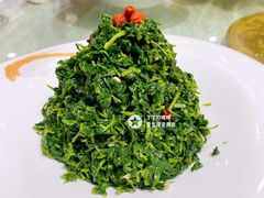 枸杞叶-小叶手抓(解放东街店)