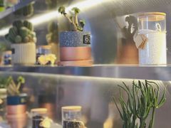 -CoCo都可(360丰产店)