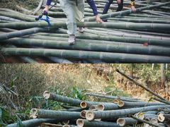 -会稽山峡洞漂流-上青古道