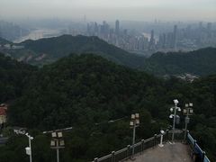-大金鹰园