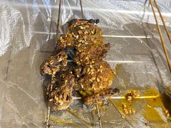 -勃利地摊·勃立小串烧烤