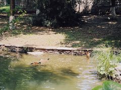 -三里河公园
