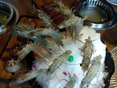 明虾-尚海豆捞(乐虹坊店)