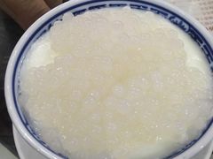 -周大娘牛乳(旧寨古村总店)