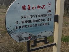 -南山风景名胜区